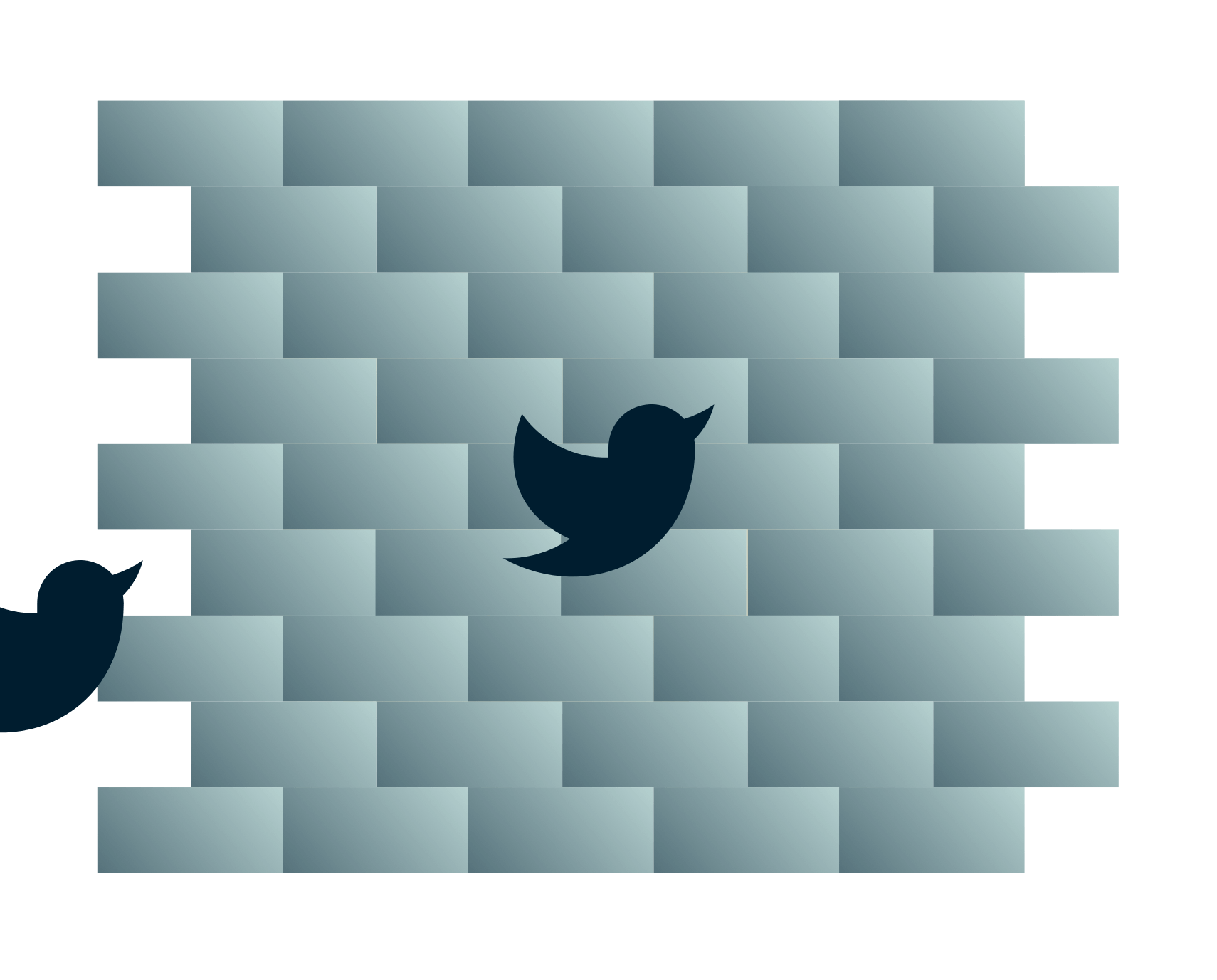 P&aacute;ssaros do Twitter a caminho de uma parede.
